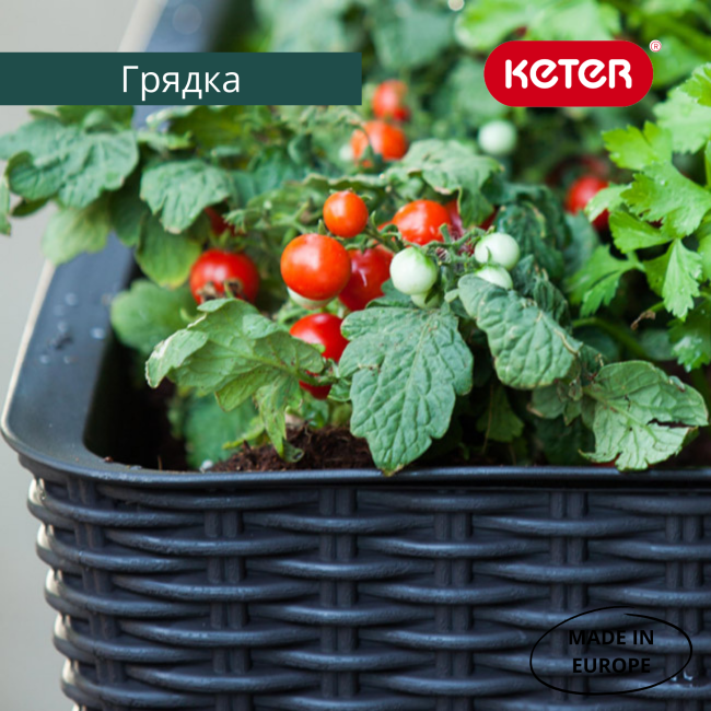 Готовая грядка на ножках Изи гроу (EASY GROW) графит
