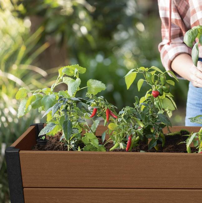 Готовая грядка Дарвин (Darwin elevated Garden Bed) коричневый