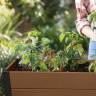 Готовая грядка Дарвин (Darwin elevated Garden Bed) коричневый